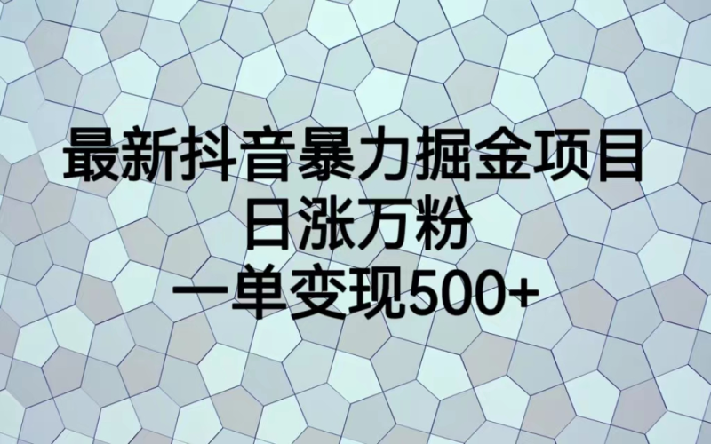 （7100期）最火热的抖音暴力掘金项目，日涨万粉，多种变现方式，一单变现可达500+-副业宝典