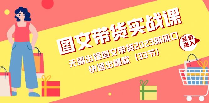 （7496期）图文带货实战课：无需出镜图文带货2023新风口，快速出爆款（33节）-副业宝典