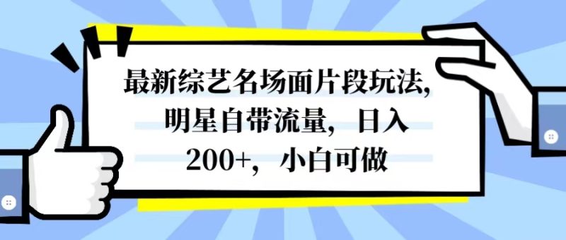 （8114期）最新综艺名场面片段玩法，明星自带流量，日入200+，小白可做-副业宝典