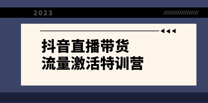 （8185期）抖音直播带货-流量激活特训营，入行新手小白主播必学（21节课+资料）-副业宝典