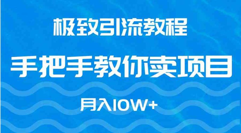 （9265期）极致引流教程，手把手教你卖项目，月入10W+-副业宝典
