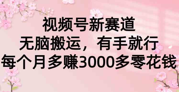（9278期）视频号新赛道，无脑搬运，有手就行，每个月多赚3000多零花钱-副业宝典