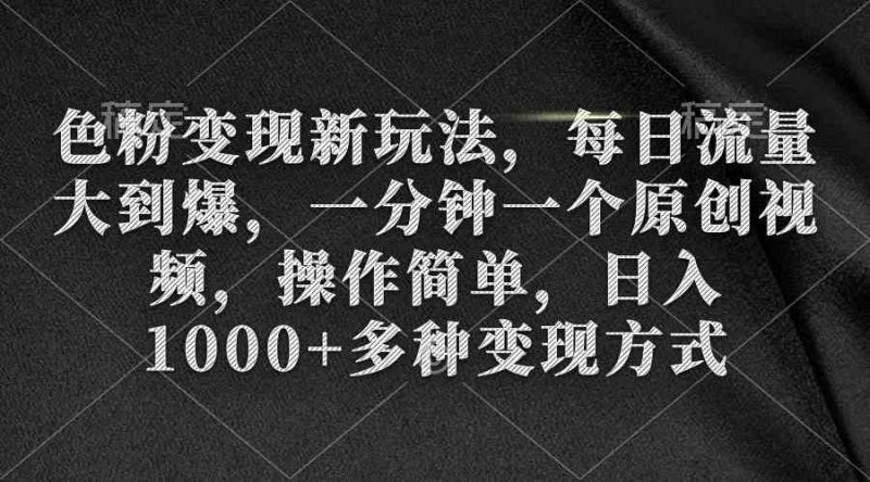 （9282期）色粉变现新玩法，每日流量大到爆，一分钟一个原创视频，操作简单，日入1…-副业宝典