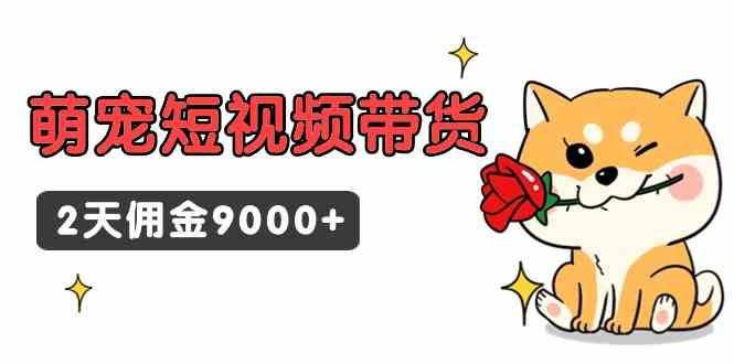 （9273期）东哲日记·萌宠短视频带货，2天佣金9000+-副业宝典