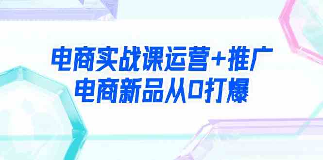 （9313期）电商实战课运营+推广，电商新品从0打爆（99节视频课）-副业宝典