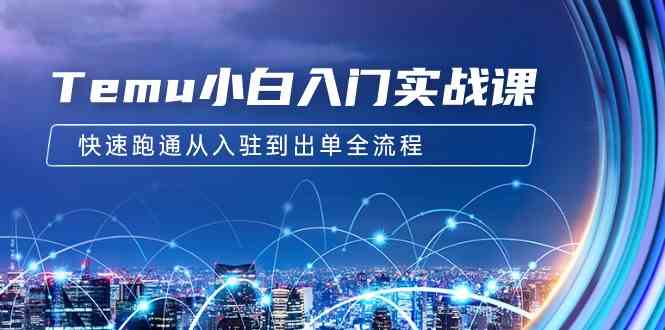 （9295期）Temu小白入门实战课：跨境拼多多电商培训 快速跑通从入驻到出单全流程-12节-副业宝典
