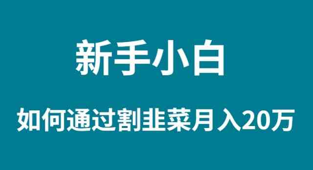 （9308期）新手小白如何通过割韭菜月入 20W-副业宝典