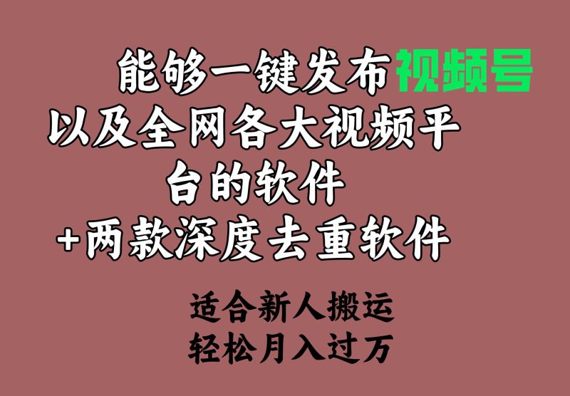 （9319期）能够一键发布视频号以及全网各大视频平台的软件+两款深度去重软件 适合…-副业宝典
