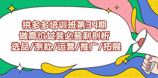 （9333期）拼多多培训班第34期：做高价女装必盈利剖析  选品/测款/运营/推广/拓展-副业宝典