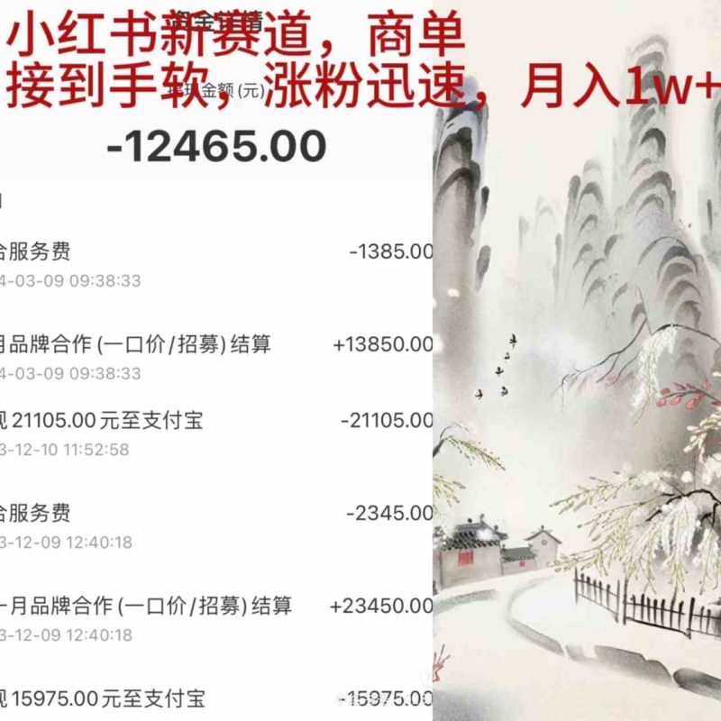 （9476期）小红书新赛道，商单接到手软，涨粉迅速，月入1w+-副业宝典