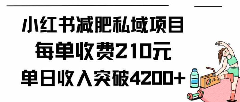 （9466期）小红书减肥私域项目每单收费210元单日成交20单，最高日入4200+-副业宝典