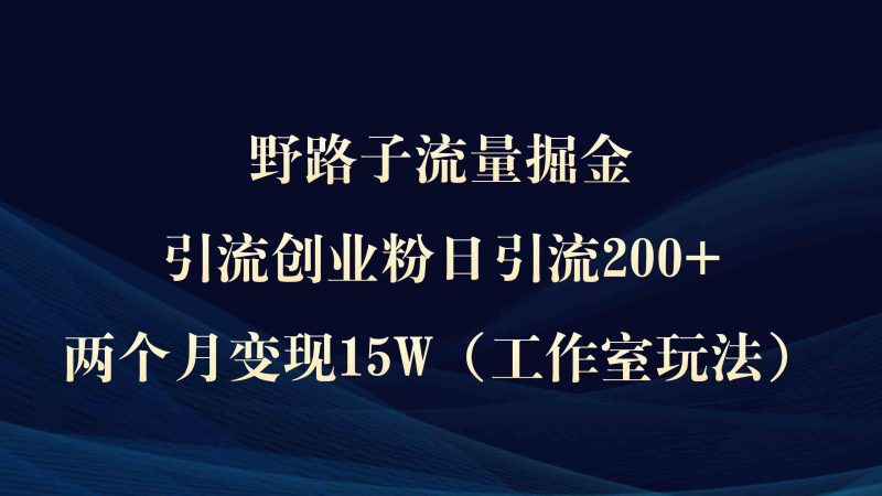 （9513期）野路子流量掘金，引流创业粉日引流200+，两个月变现15W（工作室玩法））-副业宝典