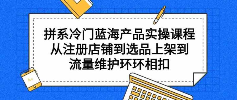 （9527期）拼系冷门蓝海产品实操课程，从注册店铺到选品上架到流量维护环环相扣-副业宝典