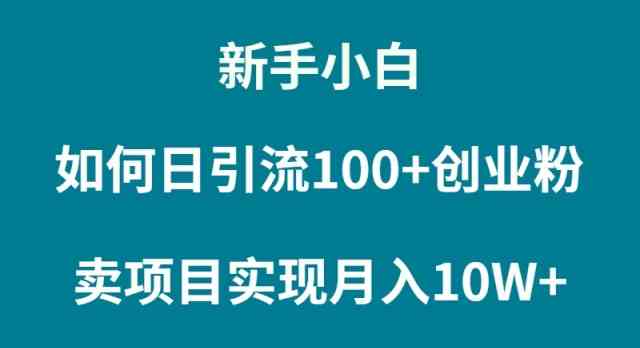 （9556期）新手小白如何通过卖项目实现月入10W+-副业宝典