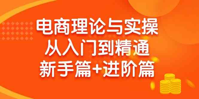 （9576期）电商理论与实操从入门到精通 新手篇+进阶篇-副业宝典