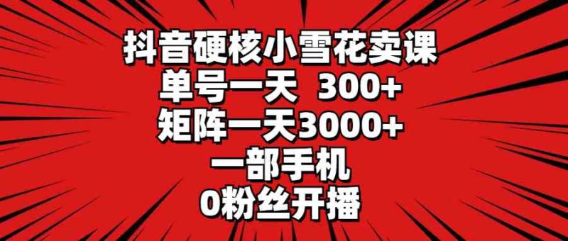 （9551期）抖音硬核小雪花卖课，单号一天300+，矩阵一天3000+，一部手机0粉丝开播-副业宝典