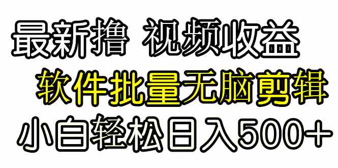 （9569期）发视频撸收益，软件无脑批量剪辑，第一天发第二天就有钱-副业宝典