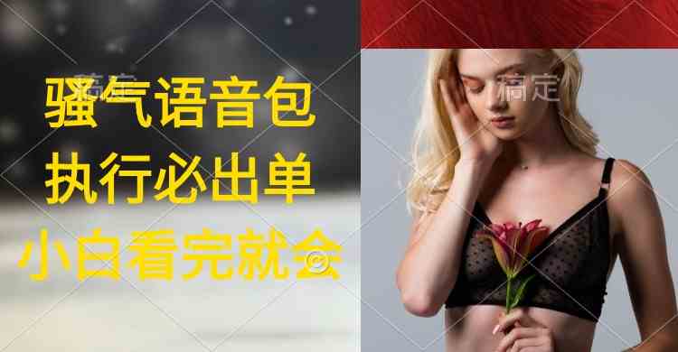 （9589期）执行就出单，日入2000+，超火骚气语音包，小白看完课程就能马上实操-副业宝典