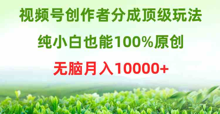 （9608期）视频号创作者分成顶级玩法，纯小白也能100%原创，无脑月入10000+-副业宝典