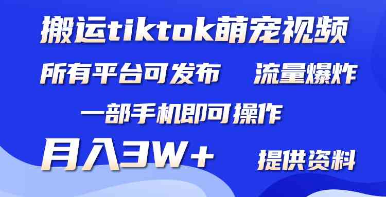（9618期）搬运Tiktok萌宠类视频，一部手机即可。所有短视频平台均可操作，月入3W+-副业宝典