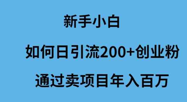 （9668期）新手小白如何日引流200+创业粉通过卖项目年入百万-副业宝典