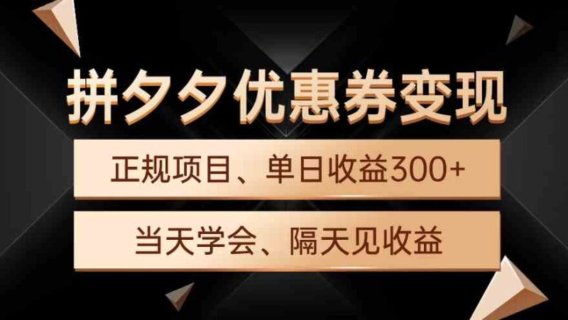 （9749期）拼夕夕优惠券变现，单日收益300+，手机电脑都可操作-副业宝典