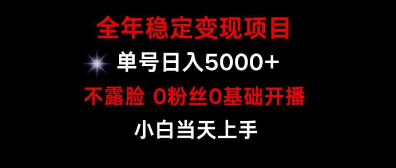 （9798期）小游戏月入15w+，全年稳定变现项目，普通小白如何通过游戏直播改变命运-副业宝典