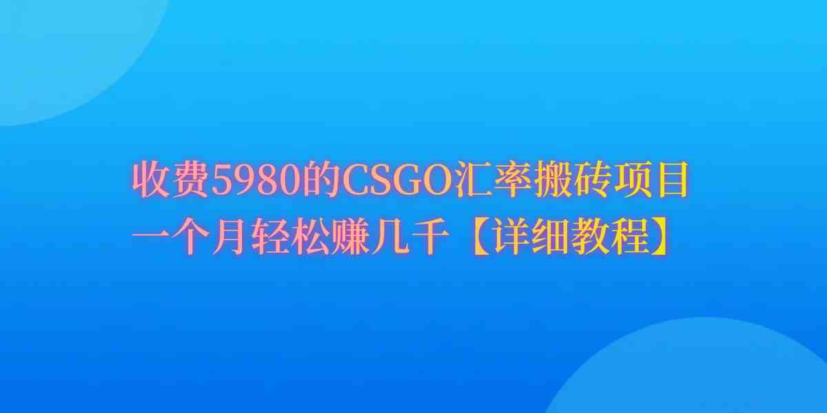 （9776期）CSGO装备搬砖，月综合收益率高达60%，你也可以！-副业宝典