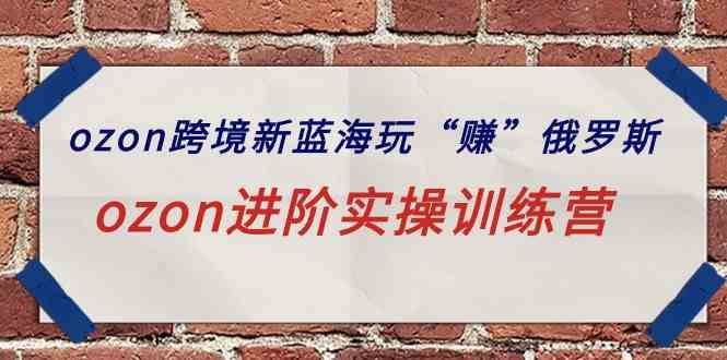 （9800期）ozon跨境新蓝海玩“赚”俄罗斯，ozon进阶实操训练营-副业宝典