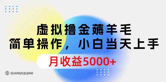 （9864期）虚拟撸金薅羊毛，简单操作，小白当天上手，月收益5000+-副业宝典