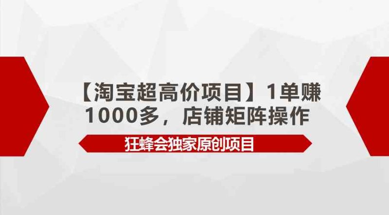 （9849期）【淘宝超高价项目】1单赚1000多，店铺矩阵操作-副业宝典