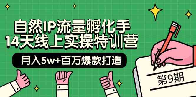 （9881期）自然IP流量孵化手 14天线上实操特训营【第9期】月入5w+百万爆款打造 (74节)-副业宝典