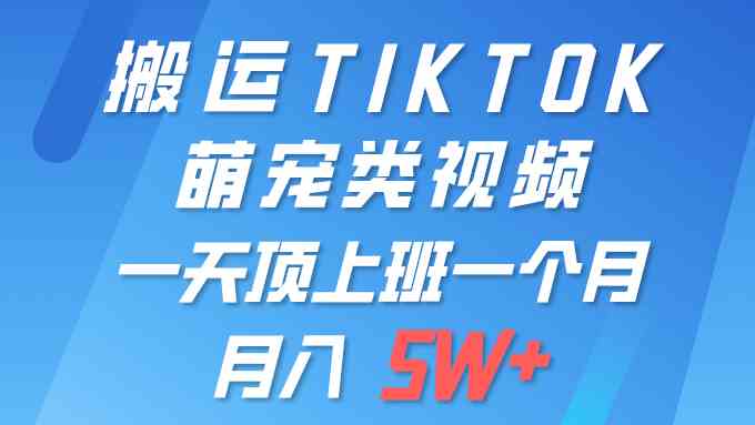 （9931期）一键搬运TIKTOK萌宠类视频 一部手机即可操作 所有平台均可发布 轻松月入5W+-副业宝典