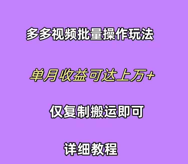 （10029期）拼多多视频带货快速过爆款选品教程 每天轻轻松松赚取三位数佣金 小白必…-副业宝典