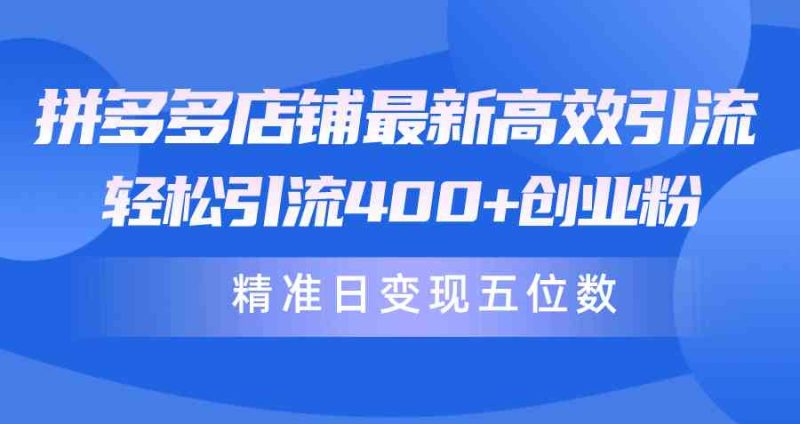 （10041期）拼多多店铺最新高效引流术，轻松引流400+创业粉，精准日变现五位数！-副业宝典