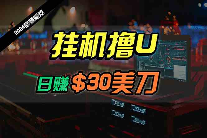（10013期）日赚30美刀，2024最新海外挂机撸U内部项目，全程无人值守，可批量放大-副业宝典