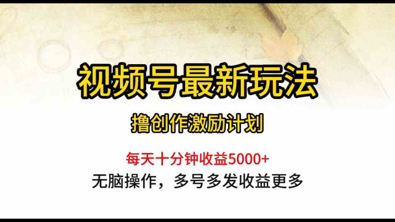 （10087期）视频号最新玩法，每日一小时月入5000+-副业宝典
