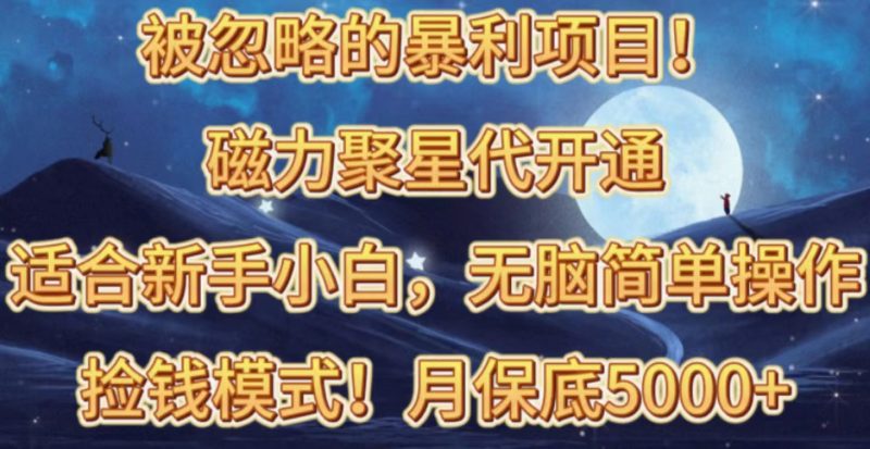 （10245期）被忽略的暴利项目！磁力聚星代开通捡钱模式，轻松月入五六千-副业宝典