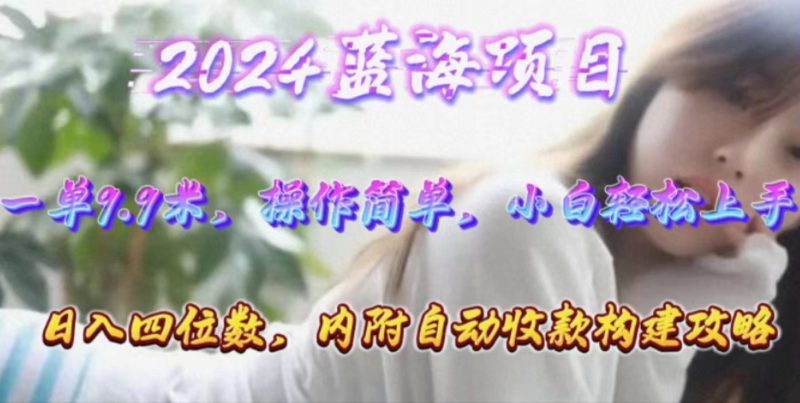 （10204期）年轻群体的蓝海市场，1单9.9元，操作简单，小白轻松上手，日入四位数-副业宝典