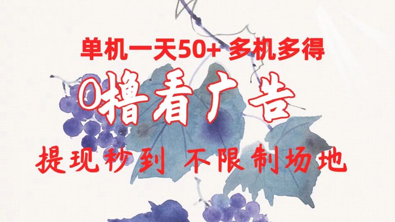 （10241期）0撸看广告 单机一天50+多机多得 提现秒到 不限制场地操作-副业宝典