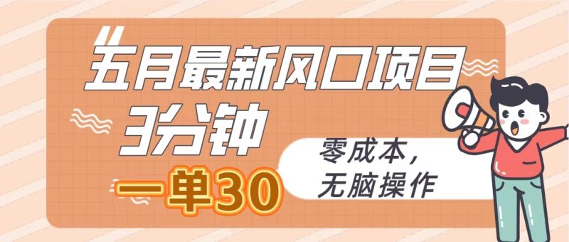 （10256期）五月最新风口项目，3分钟一单30，零成本，无脑操作-副业宝典