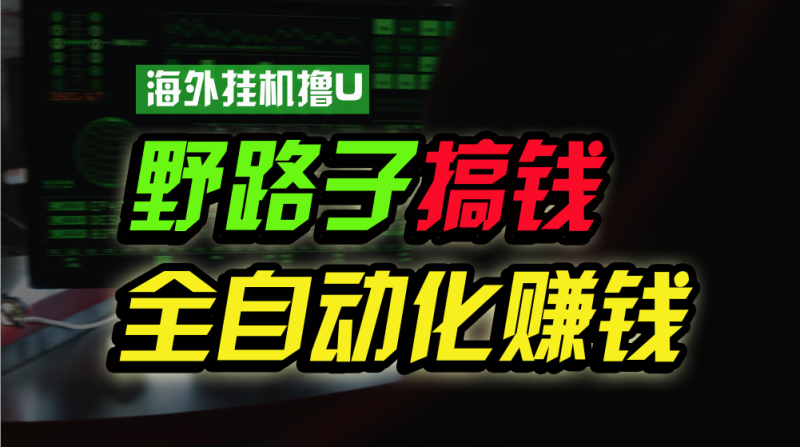 （1036期）海外挂机撸U新平台，日赚8-15美元，全程无人值守，可批量放大，工作室内…-副业宝典