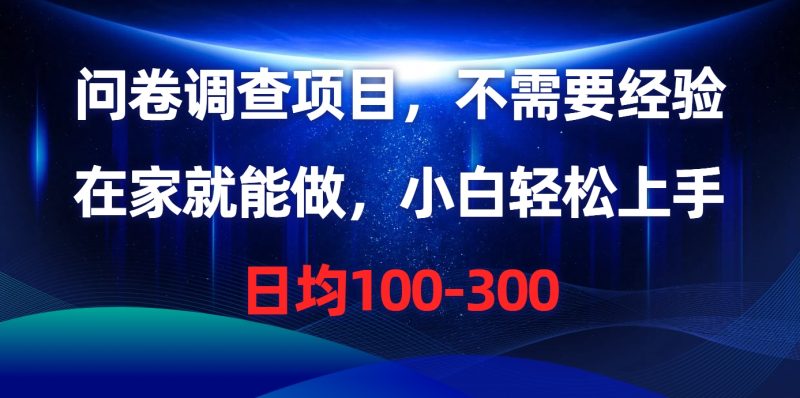 （10402期）问卷调查项目，不需要经验，在家就能做，小白轻松上手，日均100-300-副业宝典