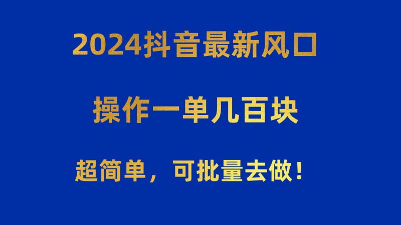 （10413期）2024抖音最新风口！操作一单几百块！超简单，可批量去做！！！-副业宝典