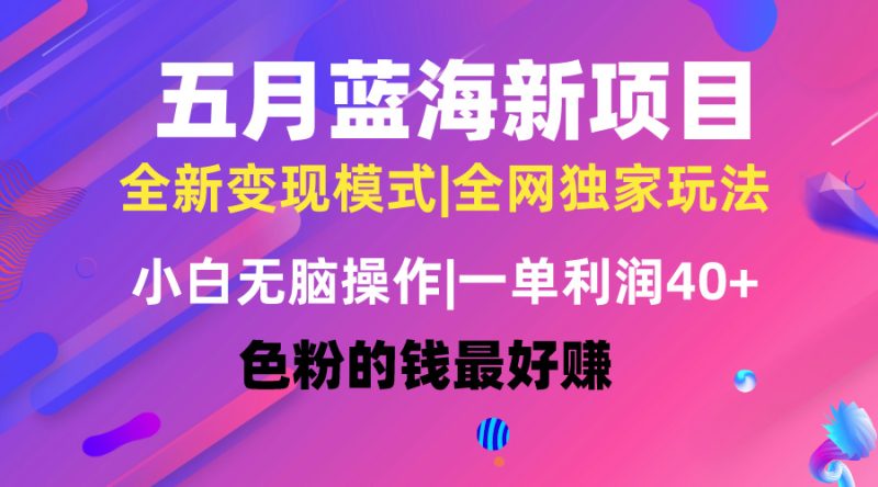 （10477期）五月蓝海项目全新玩法，小白无脑操作，一天几分钟，矩阵操作，月入4万+-副业宝典