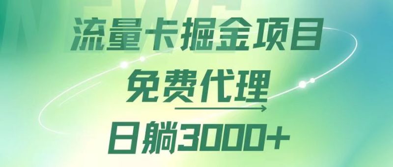 （12321期）流量卡掘金代理，日躺赚3000+，变现暴力，多种推广途径-副业宝典