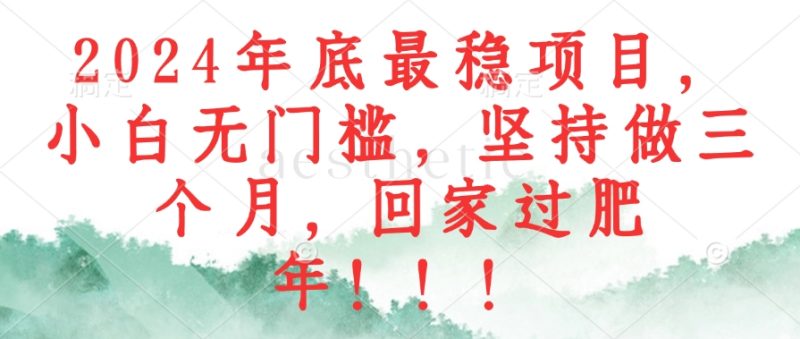 （12970期）2024年底最稳项目，小白无门槛，坚持做三个月，回家过肥年！！！-副业宝典