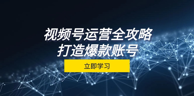 （12912期）视频号运营全攻略，从定位到成交一站式学习，视频号核心秘诀，打造爆款…-副业宝典