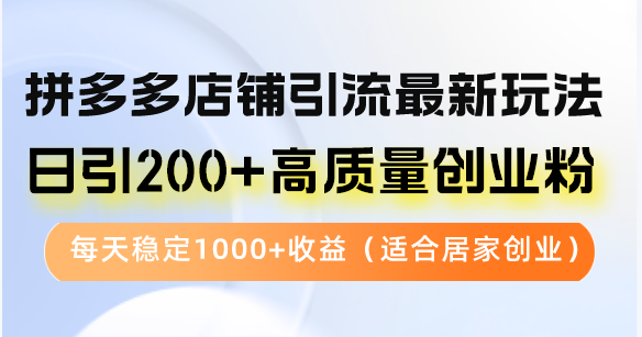 （12892期）拼多多店铺引流最新玩法，日引200+高质量创业粉，每天稳定1000+收益（…-副业宝典