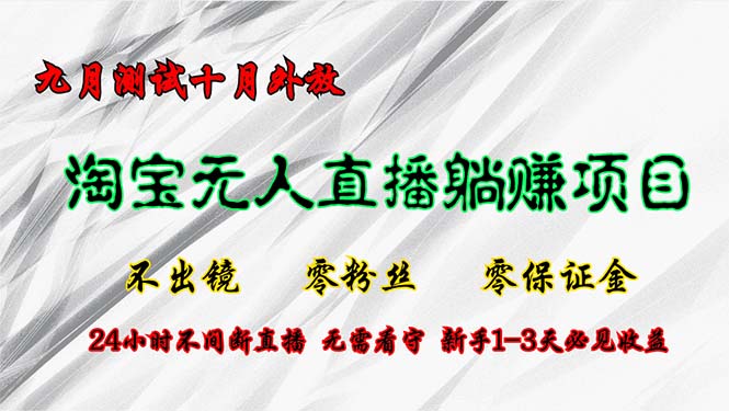 （12862期）淘宝无人直播最新玩法，九月测试十月外放，不出镜零粉丝零保证金，24小…-副业宝典